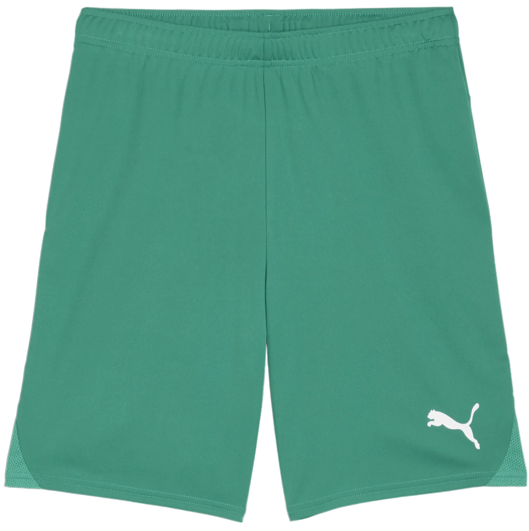 Pantalón corto Puma teamGOAL Shorts